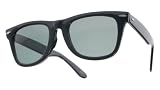 Classic Vintage Wayfarer Sunglasses w/ Case