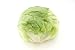 Iceberg Lettuce - 24