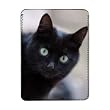 Black Cat - iPad Cover (Protective Sleeve) - Art247 - IPads 1 And 2