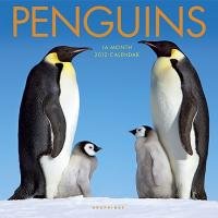 2012 Penguins Wall Calendar