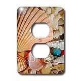 Sea Shells - Sea Shells - Light Switch Covers - 2 plug outlet cover