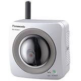 Outdoor Pan&Tilt w/ 802.11g Wi