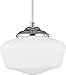 Seagull 65438-05 One Light Pendant