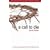 A Call to Die: A 40 Day Journey of Fasting from the World & Feasting on God