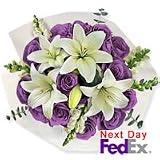 Lilies - Yankee Doodle