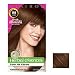 Clairol Herbal Essence Hair Color Caramel Shimmer, Medium Golden Brown # 58 - 1 Kit.