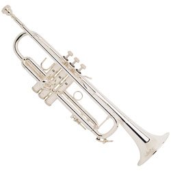 Bach LT180S Stradivarius Trumpet (Silver Plated/43 Bell)