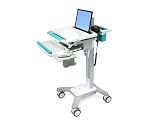 Ergotron StyleView Notebook Cart - Cart for notebook / keyboard - plastic, aluminum, zinc-plated steel - white, turquoise - screen size: up to 17