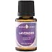Lavender Essential Oil  - 15 ml