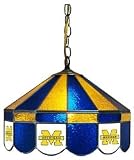 Michigan Wolverines 16 Swag Hanging Lamp