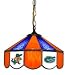 Florida Gators 14 Swag Hanging Lamp