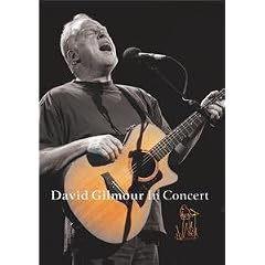 David Gilmour - In Concert [DVD] [2002]