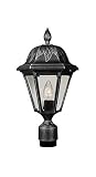 Floral Post Mount Light (Swedish Silver) by Special Lite Products Company, Inc [並行輸入品]