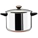 Paula Deen Stainless Steel 8 Quart Covered Stockpot Paula Deen Stainless Steel 8 Quart Covered Stockpot