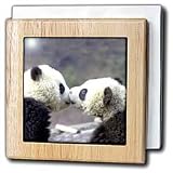 Review 3dRose LLC  / Baby Pandas - 6 Inch Tile Napkin Holder