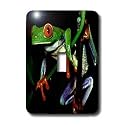 Frogs - Frog - Light Switch Covers - single toggle switch