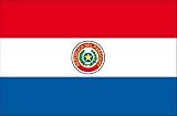 Autoaufkleber Sticker Fahne Paraguay Flagge Aufkleber