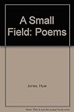 A small field