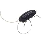 Solar Powered Roach. Just Place in the Sun and Watch it's Legs Jiggle and Wiggle