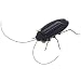 Solar Powered Roach. Just Place in the Sun and Watch it's Legs Jiggle and Wiggle