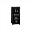 Bush Furniture Stanford Audio Cabinet, Antique Black/Hansen Cherry