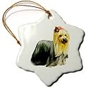 Dogs Yorkshire Terrier - Yorkshire Terrier - Ornaments