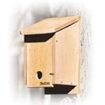 Aububon/Woodlink Cedar Winter Roosting Box