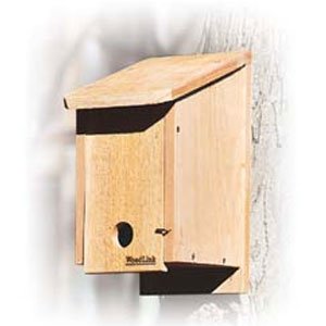 Cedar Winter Roosting Box By Audubon/Woodlink