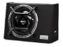 Sony XSLB10S Slim Line Subwoofer with Enclosure
