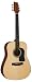 Washburn D6S 6-string Acoustic Guitar