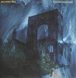 stormy weather LP