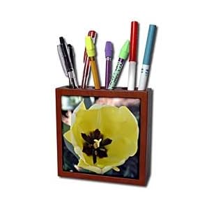 WhiteOak Photography Floral Prints - Macros Yellow Tulip Macros Yellow Flower - Tile Pen Holders-5 inch tile pen holder