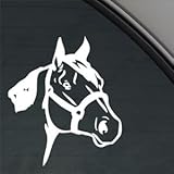 Quarter Horse Decal Car Truck Bumper Window Sticker