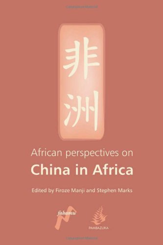 african perspectives on china in africa