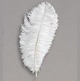 Snow White 20 Ostrich Feather 8-12" to Decorate Eiffel Tower Vase