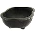 Happy Bonsai Handcrafted Lotus Shaped Pot 2.6