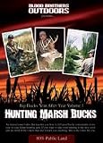 Hunting Marsh Bucks