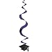 Graduation Hanging Swirl Decoration 15-pk. - Purple (24