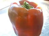 Pepper – Big Red – 250 Seeds + *Free Seeds*
