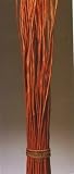 Green Earth Accents Persimmon Willow 5 Feet Tall, Stack of 100