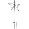 Star Topiary Frame- 24"