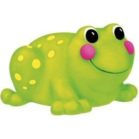 Froggie Spout Guard