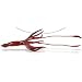 Safari Ltd 277829 Giant Squid