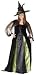 Goth Maiden Witch Plus Size Halloween Costume