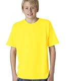 Gildan Youth 100% Cotton T 2000B