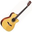 MF80C Acoustic Electric Guitar