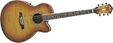 Ibanez AEL20EVV AE Series Acostic Electric