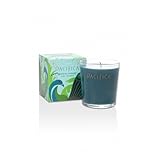 Pacifica Waikiki Pikaki 5.5 oz Soy Boxed Glass Candle