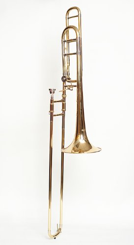 Tempest Trombone - Professional F Attachment, Open Wrap, Gold Brass Bell, Heavy Weight Slide, Case, Mouthpiece, + 5-Year warranty