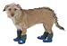 Fashion Pet MVP Fleece Dog Boot